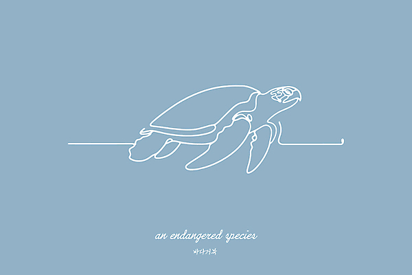 야생동물 하늘색 일러스트 사람없음 보호 라인아트 심플 멸종위기동물 바다거북 미니멀 국내일러스트 멸종위기종 AI파일 동물 선 컨셉 파란색 거북이 파일형식 벡터