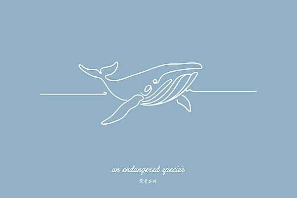 야생동물 하늘색 일러스트 사람없음 보호 라인아트 심플 멸종위기동물 혹등고래 미니멀 국내일러스트 멸종위기종 AI파일 동물 선 컨셉 파란색 고래 파일형식 벡터