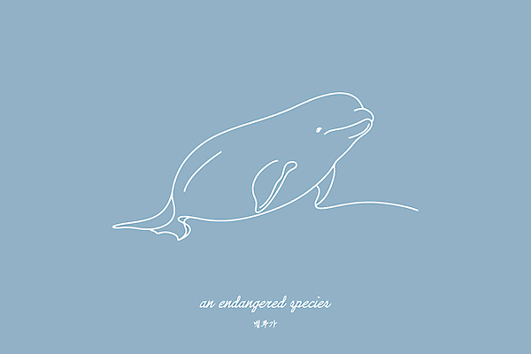야생동물 하늘색 일러스트 사람없음 보호 라인아트 심플 멸종위기동물 미니멀 벨루가 국내일러스트 멸종위기종 AI파일 동물 선 컨셉 파란색 고래 파일형식 벡터