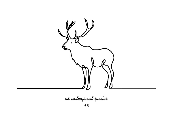 야생동물 일러스트 사람없음 흰색 보호 숲 라인아트 심플 멸종위기동물 순록 미니멀 국내일러스트 멸종위기종 AI파일 동물 선 컬러 컨셉 파일형식 벡터