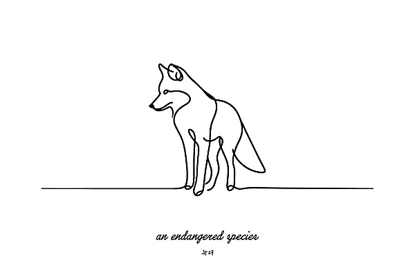 야생동물 일러스트 사람없음 흰색 보호 숲 라인아트 심플 멸종위기동물 늑대 미니멀 국내일러스트 멸종위기종 AI파일 동물 선 컬러 컨셉 포유류 파일형식 벡터