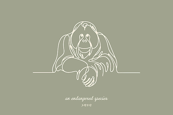 야생동물 일러스트 사람없음 연두색 보호 열대우림 라인아트 심플 멸종위기동물 오랑우탄 미니멀 국내일러스트 멸종위기종 AI파일 동물 선 컨셉 포유류 초록색 숲 파일형식 벡터