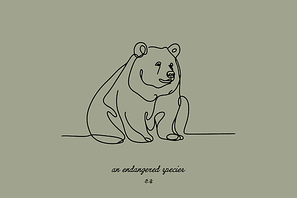 야생동물 일러스트 곰 사람없음 연두색 보호 숲 라인아트 심플 멸종위기동물 미니멀 국내일러스트 멸종위기종 AI파일 동물 선 컨셉 포유류 초록색 파일형식 벡터