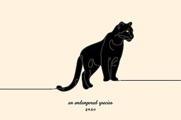 야생동물 일러스트 사람없음 노란색 보호 열대우림 라인아트 심플 멸종위기동물 퓨마 미니멀 국내일러스트 멸종위기종 AI파일 동물 선 컬러 컨셉 포유류 숲 파일형식 벡터