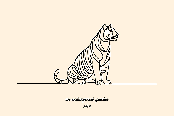 야생동물 일러스트 사람없음 노란색 호랑이 보호 숲 라인아트 심플 멸종위기동물 미니멀 국내일러스트 멸종위기종 AI파일 동물 선 컬러 컨셉 포유류 파일형식 벡터