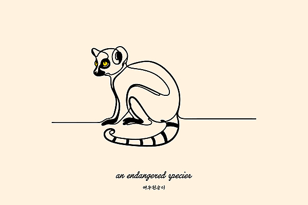 야생동물 일러스트 사람없음 노란색 보호 열대우림 라인아트 심플 멸종위기동물 여우원숭이 미니멀 국내일러스트 멸종위기종 AI파일 동물 선 컬러 컨셉 원숭이 숲 파일형식 벡터