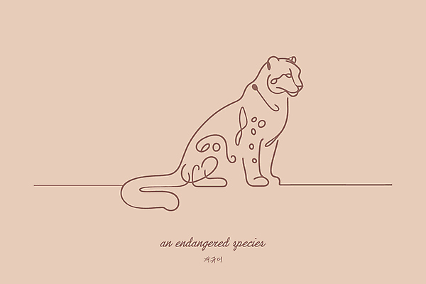 야생동물 일러스트 아프리카 사람없음 보호 라인아트 심플 멸종위기동물 베이지색 재규어 미니멀 국내일러스트 멸종위기종 AI파일 동물 나라 선 컬러 컨셉 포유류 파일형식 벡터