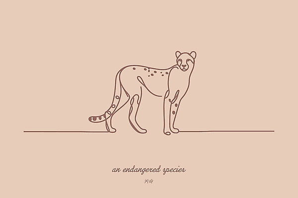 야생동물 일러스트 아프리카 사람없음 보호 라인아트 심플 멸종위기동물 치타 베이지색 미니멀 국내일러스트 멸종위기종 AI파일 동물 나라 선 컬러 컨셉 포유류 파일형식 벡터