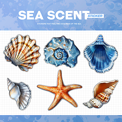 PSD 바다 하늘색 스티커 일러스트 조개 불가사리 생물 해변 사람없음 여름 파란색 빈티지 소라 시원함 엘리먼트 청량 국내일러스트 계절 컬러 컨셉 어패류 극피동물 파일형식