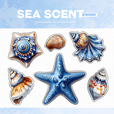 PSD 바다 하늘색 스티커 일러스트 조개 불가사리 생물 해변 사람없음 여름 파란색 빈티지 소라 시원함 엘리먼트 청량 국내일러스트 계절 컬러 컨셉 어패류 극피동물 파일형식