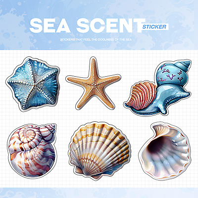 PSD 바다 하늘색 스티커 일러스트 조개 불가사리 생물 해변 사람없음 여름 파란색 빈티지 소라 시원함 엘리먼트 청량 국내일러스트 계절 컬러 컨셉 어패류 극피동물 파일형식