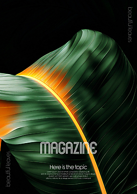 PSD 편집이미지 디자인 포스터 무늬 자연 미술 타이포그라피 사람없음 초록색 평화 환경 디지털합성 질감 바나나잎 카피스페이스 편집소스 디테일 이미지편집 문자 컬러 컨셉 잎 문화예술 공백 생태계 파일형식