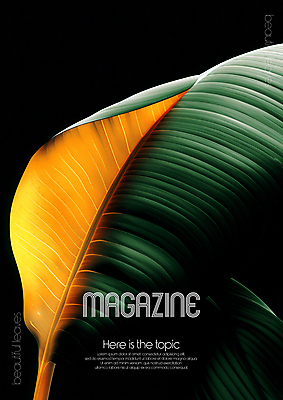 PSD 편집이미지 디자인 포스터 무늬 자연 미술 타이포그라피 사람없음 초록색 평화 환경 디지털합성 질감 바나나잎 카피스페이스 편집소스 디테일 이미지편집 문자 컬러 컨셉 잎 문화예술 공백 생태계 파일형식