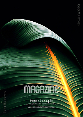 PSD 편집이미지 디자인 포스터 무늬 자연 미술 타이포그라피 사람없음 초록색 평화 환경 디지털합성 질감 바나나잎 카피스페이스 편집소스 디테일 이미지편집 문자 컬러 컨셉 잎 문화예술 공백 생태계 파일형식