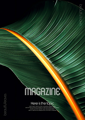 PSD 편집이미지 디자인 포스터 무늬 자연 미술 타이포그라피 사람없음 초록색 평화 환경 디지털합성 질감 바나나잎 카피스페이스 편집소스 디테일 이미지편집 문자 컬러 컨셉 잎 문화예술 공백 생태계 파일형식