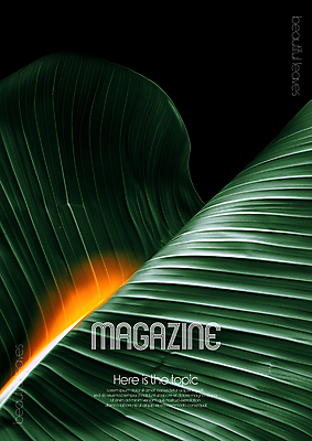 PSD 편집이미지 디자인 포스터 무늬 자연 미술 타이포그라피 사람없음 초록색 평화 환경 디지털합성 질감 바나나잎 카피스페이스 편집소스 디테일 이미지편집 문자 컬러 컨셉 잎 문화예술 공백 생태계 파일형식