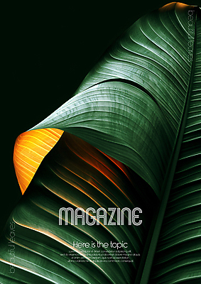 PSD 편집이미지 디자인 포스터 무늬 자연 미술 타이포그라피 사람없음 초록색 평화 환경 디지털합성 질감 바나나잎 카피스페이스 편집소스 디테일 이미지편집 문자 컬러 컨셉 잎 문화예술 공백 생태계 파일형식