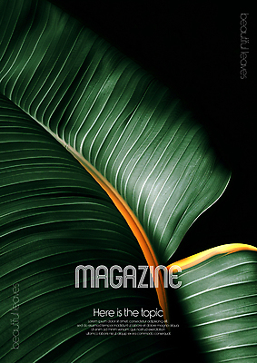 PSD 편집이미지 디자인 포스터 무늬 자연 미술 타이포그라피 사람없음 초록색 평화 환경 디지털합성 질감 바나나잎 카피스페이스 편집소스 디테일 이미지편집 문자 컬러 컨셉 잎 문화예술 공백 생태계 파일형식