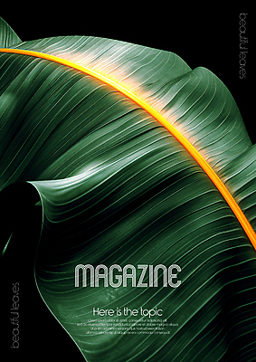 PSD 편집이미지 디자인 포스터 무늬 자연 미술 타이포그라피 사람없음 초록색 평화 환경 디지털합성 질감 바나나잎 카피스페이스 편집소스 디테일 이미지편집 문자 컬러 컨셉 잎 문화예술 공백 생태계 파일형식