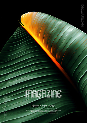 PSD 편집이미지 디자인 포스터 무늬 자연 미술 타이포그라피 사람없음 초록색 평화 환경 디지털합성 질감 바나나잎 카피스페이스 편집소스 디테일 이미지편집 문자 컬러 컨셉 잎 문화예술 공백 생태계 파일형식