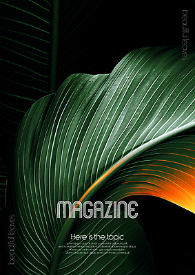 PSD 편집이미지 디자인 포스터 무늬 자연 미술 타이포그라피 사람없음 초록색 평화 환경 디지털합성 질감 바나나잎 카피스페이스 편집소스 디테일 이미지편집 문자 컬러 컨셉 잎 문화예술 공백 생태계 파일형식