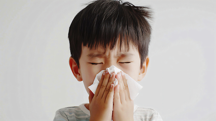 JPG 편집이미지 남자 어린이 한명 소년 앞모습 고통 찡그림 화장지 디지털합성 먼지 닦기 알레르기 비염 재채기 환절기 의료성형뷰티 소년한명만 꽃가루알레르기 편집실사 AI인물포토 AI콘텐츠 1 계절 감정 뷰포인트 모션 표정 사람 질병 CG 남자한명만 소년만 파일형식 AI포토