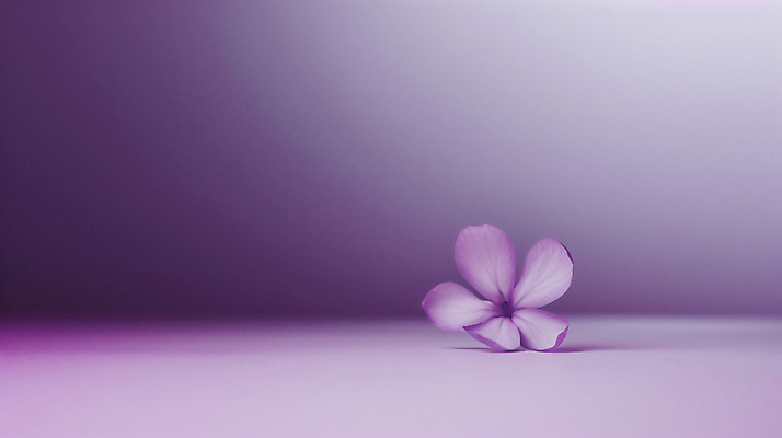 JPG 편집이미지 꽃 사람없음 보라색 편안함 감성 카피스페이스 차분 편집실사 AI포토 AI콘텐츠 식물 컬러 컨셉 공백 감각 CG 파일형식