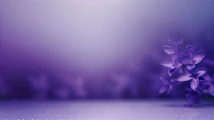 JPG 편집이미지 꽃 사람없음 보라색 편안함 감성 카피스페이스 차분 편집실사 AI포토 AI콘텐츠 식물 컬러 컨셉 공백 감각 CG 파일형식