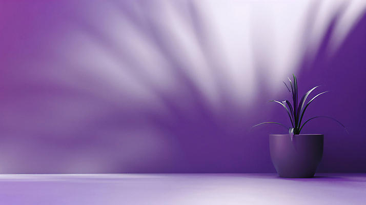 JPG 식물 편집이미지 화분 그림자 사람없음 보라색 편안함 감성 카피스페이스 차분 편집실사 AI포토 AI콘텐츠 컬러 컨셉 공백 감각 CG 파일형식