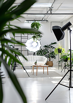 JPG 스튜디오촬영 편집이미지 화분 잎 탁자 스튜디오 조명 사람없음 빛 소파 유행 카메라 촬영 카펫 공간 영상 삼각대 동영상 조명장치 촬영장비 크리에이터 편집실사 AI포토 AI콘텐츠 식물 직업 가구 의자 실내 전자제품 장비 도구 CG 파일형식 1인미디어