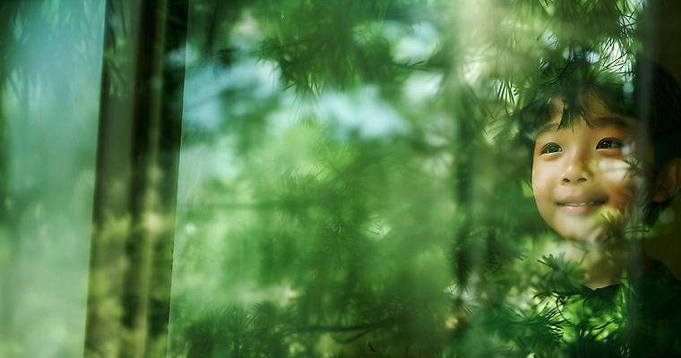 JPG 편집이미지 남자 행복 얼굴 어린이 창문 자연 나뭇잎 한명 소년 상반신 초록색 여름 희망 봄 유치원 기쁨 다중노출 의료성형뷰티 소년한명만 동심 편집실사 AI인물포토 AI콘텐츠 1 계절 교육 감정 컬러 잎 촬영기법 사람 신체부위 CG 생태계 남자한명만 소년만 파일형식 AI포토
