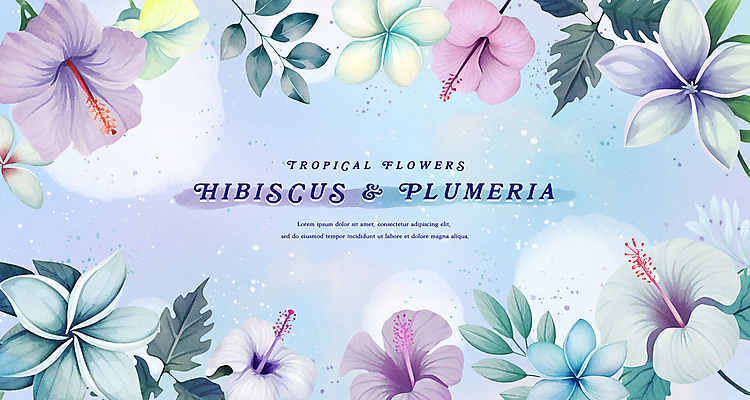 PSD 식물 일러스트 자연 나뭇잎 열대 수채화 프레임 타이포그라피 사람없음 여름 파란색 보라색 화려 플루메리아 히비스커스 카피스페이스 트로피컬아트 국내일러스트 문자 계절 꽃 컬러 컨셉 잎 공백 그림 생태계 파일형식