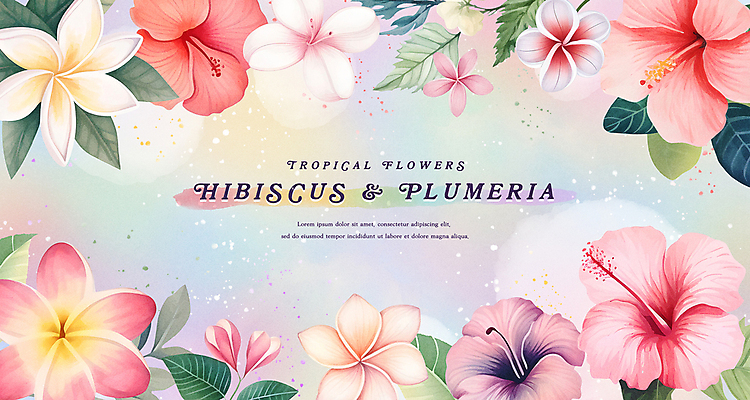 PSD 식물 일러스트 자연 나뭇잎 열대 수채화 프레임 타이포그라피 사람없음 여름 화려 플루메리아 히비스커스 카피스페이스 트로피컬아트 국내일러스트 문자 계절 꽃 컨셉 잎 공백 그림 생태계 파일형식