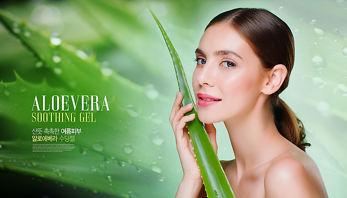 PSD 편집이미지 여자 얼굴 한명 들기 성인 타이포그라피 초록색 여름 뷰티 화장품 우아함 피부 알로에 의료성형뷰티 성인여자한명만 카피스페이스 이미지편집 식물 문자 1 계절 컬러 컨셉 모션 사람 신체부위 공백 여자한명만 성인여자만 파일형식