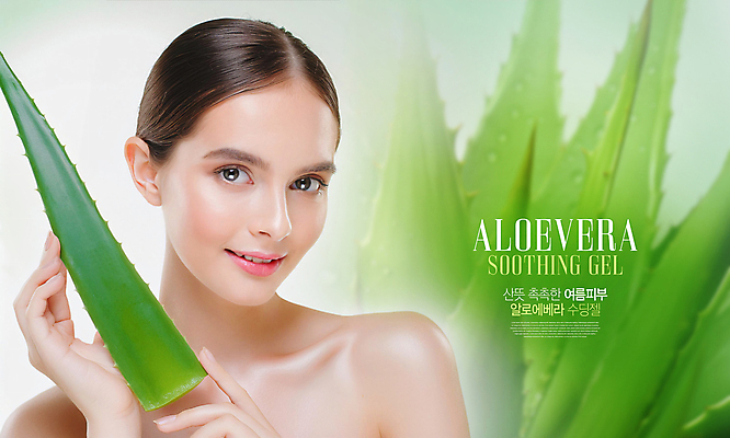 PSD 편집이미지 여자 얼굴 한명 들기 성인 타이포그라피 초록색 여름 뷰티 화장품 우아함 피부 알로에 의료성형뷰티 성인여자한명만 카피스페이스 이미지편집 식물 문자 1 계절 컬러 컨셉 모션 사람 신체부위 공백 여자한명만 성인여자만 파일형식