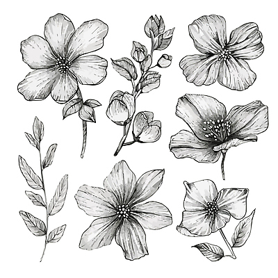 꽃 잎 일러스트 흑백 사람없음 우아함 스케치 라인아트 꽃봉오리 국내일러스트 AI파일 식물 선 컨셉 촬영기법 미술 파일형식 벡터