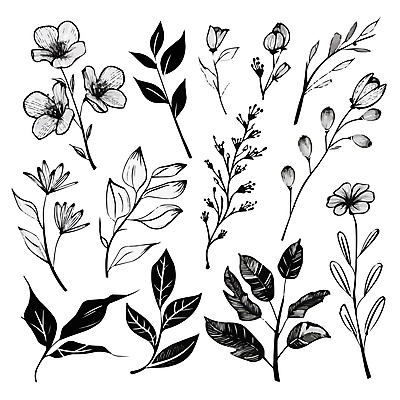 꽃 잎 일러스트 흑백 사람없음 우아함 스케치 라인아트 꽃봉오리 국내일러스트 AI파일 식물 선 컨셉 촬영기법 미술 파일형식 벡터