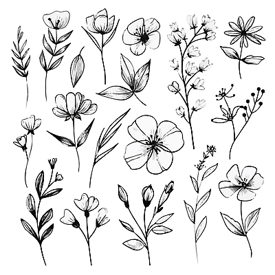 꽃 잎 일러스트 흑백 사람없음 우아함 스케치 라인아트 꽃봉오리 국내일러스트 AI파일 식물 선 컨셉 촬영기법 미술 파일형식 벡터