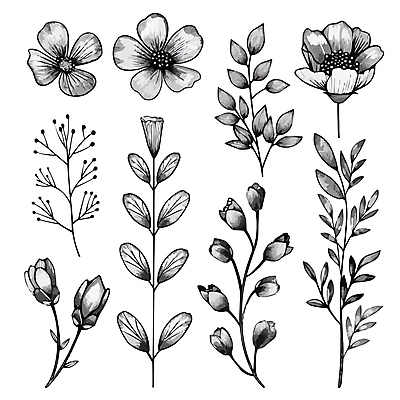 꽃 잎 일러스트 흑백 사람없음 우아함 스케치 라인아트 꽃봉오리 국내일러스트 AI파일 식물 선 컨셉 촬영기법 미술 파일형식 벡터