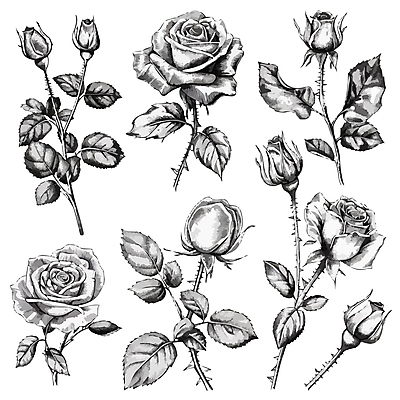 잎 일러스트 흑백 사람없음 장미 가시 우아함 스케치 라인아트 꽃봉오리 국내일러스트 AI파일 식물 꽃 선 컨셉 촬영기법 미술 파일형식 벡터