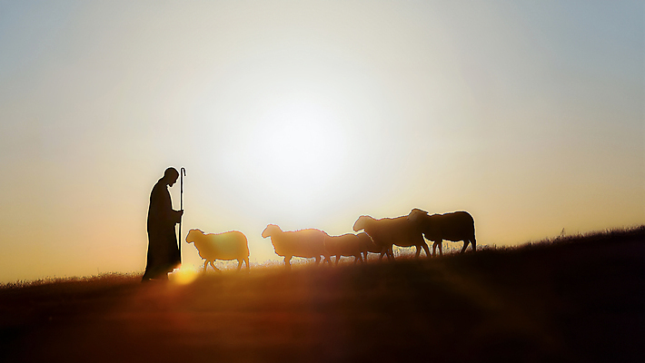 JPG 동물 편집이미지 남자 실루엣 기독교 한명 성인 빛 태양 목장 양 예수 분위기 성인남자한명만 편집실사 AI인물포토 AI콘텐츠 자연요소 1 종교 컨셉 포유류 촬영기법 사람 신_종교 CG 남자한명만 성인남자만 파일형식 AI포토