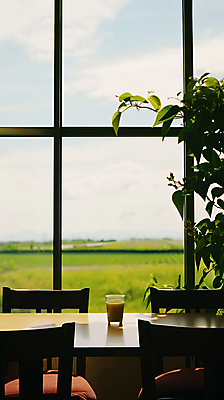 JPG 식물 편집이미지 라이프스타일 커피 여행 휴식 잔 그림자 풍경 초원 사람없음 여름 햇빛 카페 책상 디지털합성 편집실사 AI포토 AI콘텐츠 식기 계절 음료 가구 컨셉 생활 태양 상점 CG 파일형식