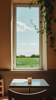 JPG 편집이미지 라이프스타일 여행 잎 의자 자연 휴식 풍경 초원 사람없음 여름 카페 책상 디지털합성 편집실사 AI포토 AI콘텐츠 식물 계절 가구 컨셉 생활 상점 CG 생태계 파일형식