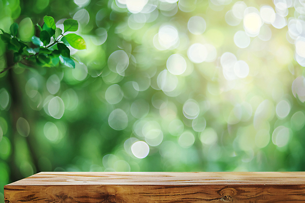 JPG 편집이미지 자연 나뭇잎 사람없음 야외 햇빛 나무책상 편집소스 보케백그라운드 편집실사 AI포토 AI콘텐츠 백그라운드 잎 목재 태양 책상 CG 생태계 보케 파일형식