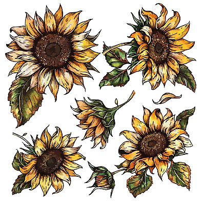 잎 일러스트 해바라기 사람없음 세트 노란색 국내일러스트 AI파일 식물 꽃 컬러 파일형식 벡터