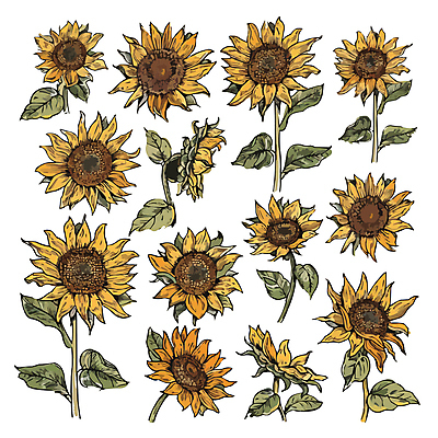 잎 일러스트 해바라기 사람없음 세트 노란색 국내일러스트 AI파일 식물 꽃 컬러 파일형식 벡터