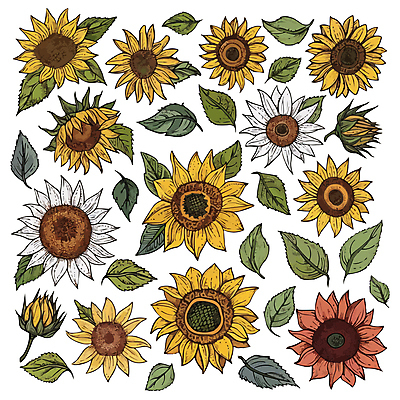 잎 일러스트 해바라기 사람없음 세트 노란색 국내일러스트 AI파일 식물 꽃 컬러 파일형식 벡터
