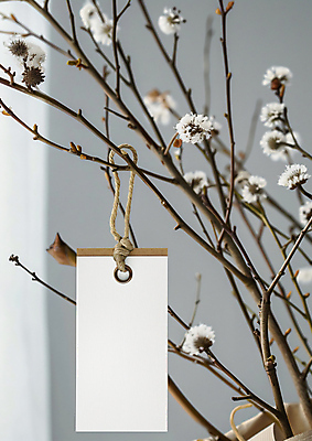 JPG 편집이미지 꽃 종이 사람없음 꼬리표 나뭇가지 오브젝트 짚끈 목업 카피스페이스 편집실사 AI포토 AI콘텐츠 나무 식물 라벨 공백 끈 CG 파일형식