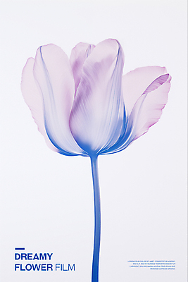 PSD 편집이미지 꽃잎 포스터 타이포그라피 사람없음 파란색 튤립 투명 우아함 필름 아날로그 이미지편집 문자 꽃 컬러 컨셉 파일형식