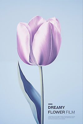 PSD 편집이미지 꽃잎 포스터 분홍색 타이포그라피 사람없음 튤립 투명 우아함 필름 아날로그 이미지편집 문자 꽃 컬러 컨셉 파일형식